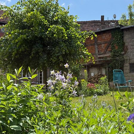 Ferienhaus St. Johannis Werben  エクステリア 写真