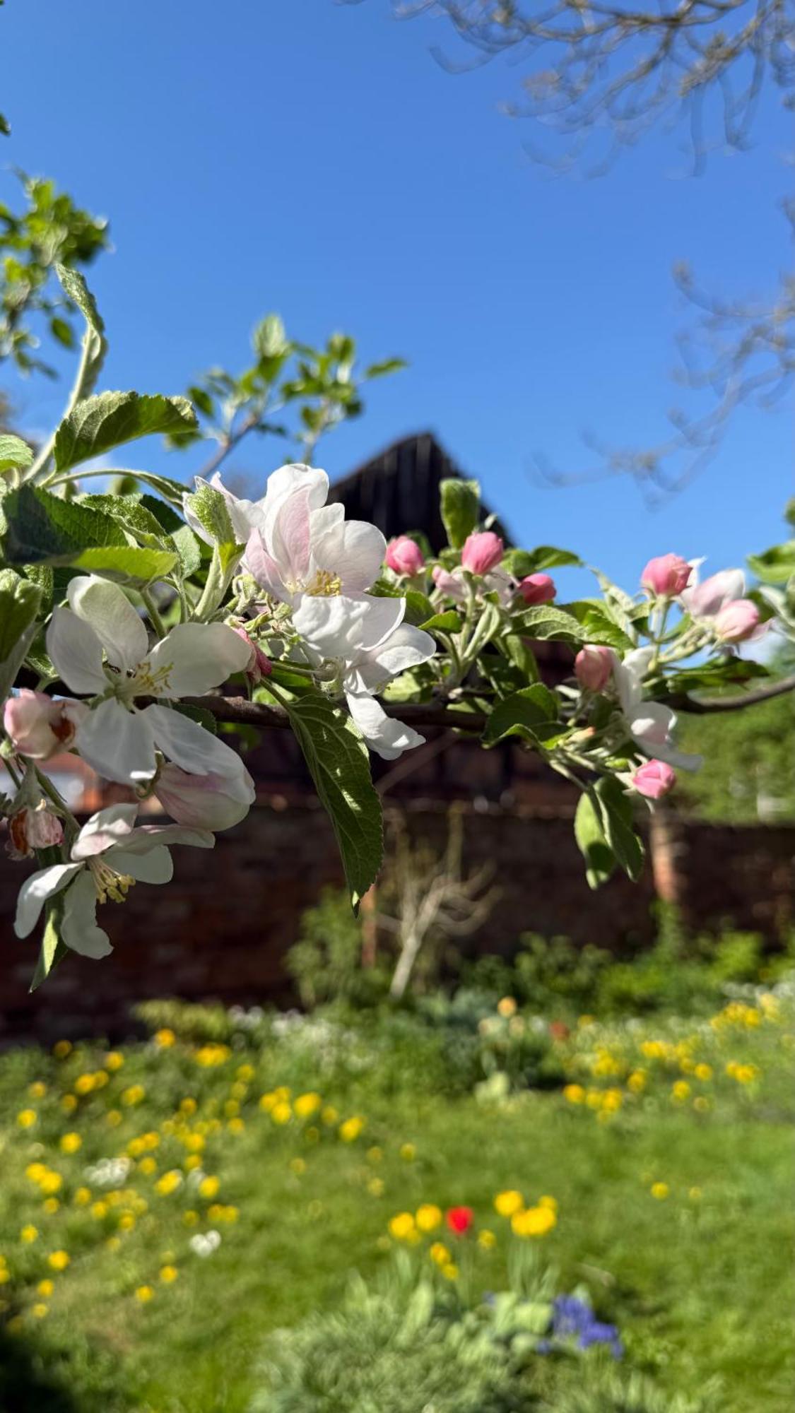 Ferienhaus St. Johannis Werben  エクステリア 写真