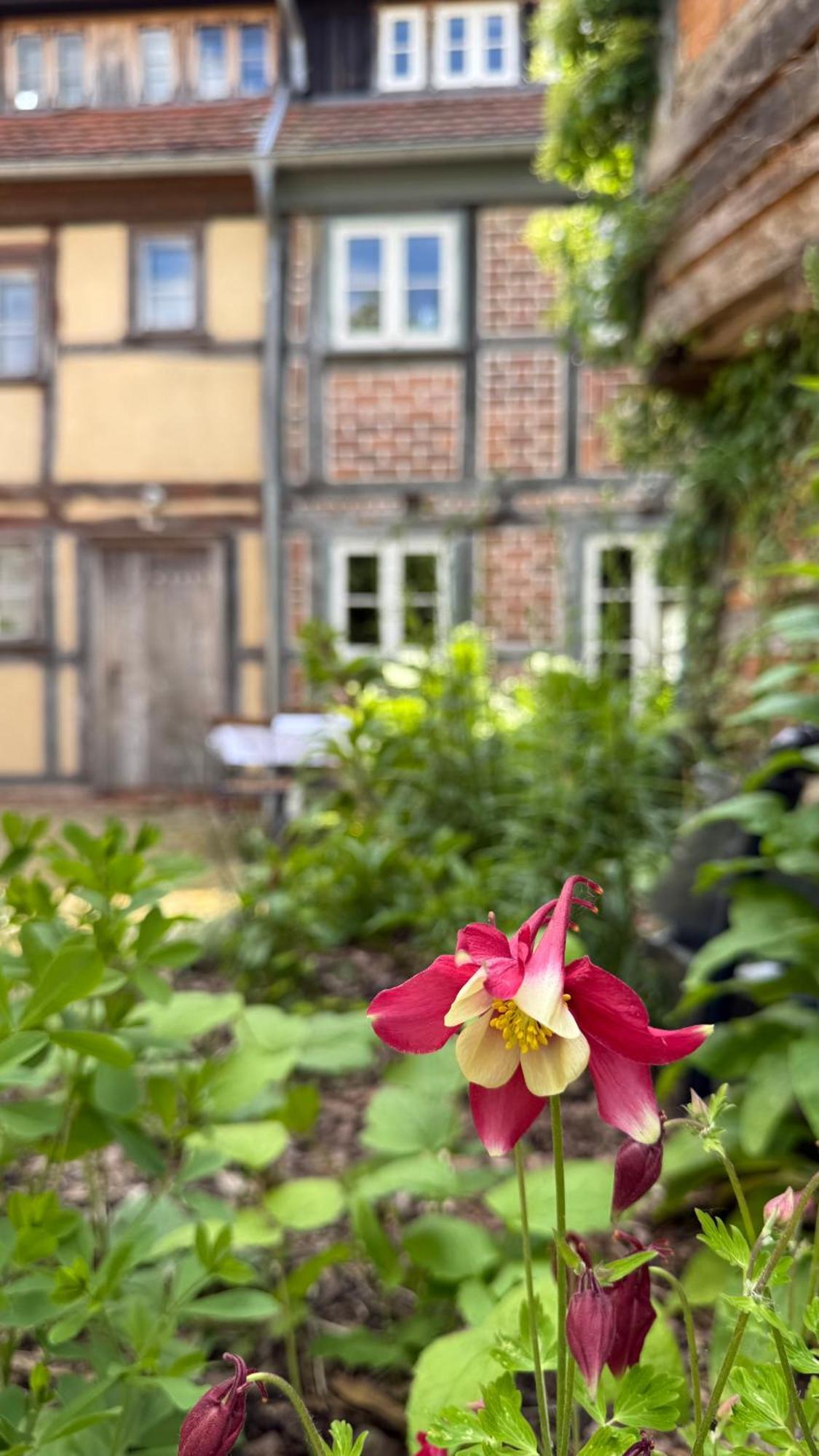 Ferienhaus St. Johannis Werben  エクステリア 写真